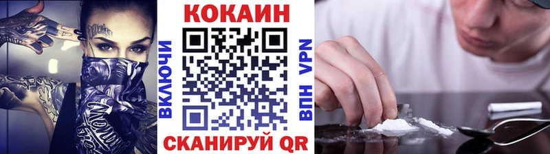 COCAIN Fish Scale  где купить   Прохладный 