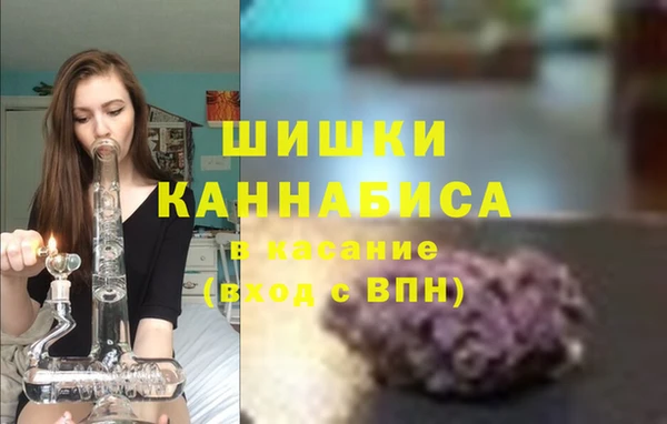винт Няндома
