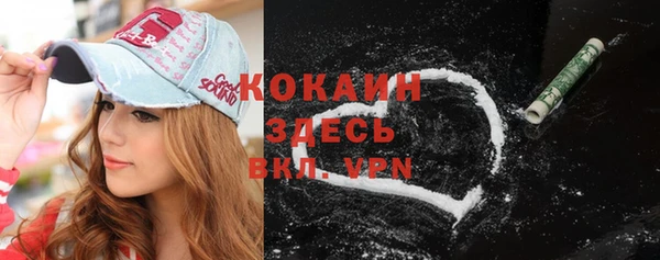 винт Няндома