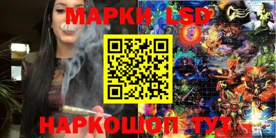 гашик Кинель