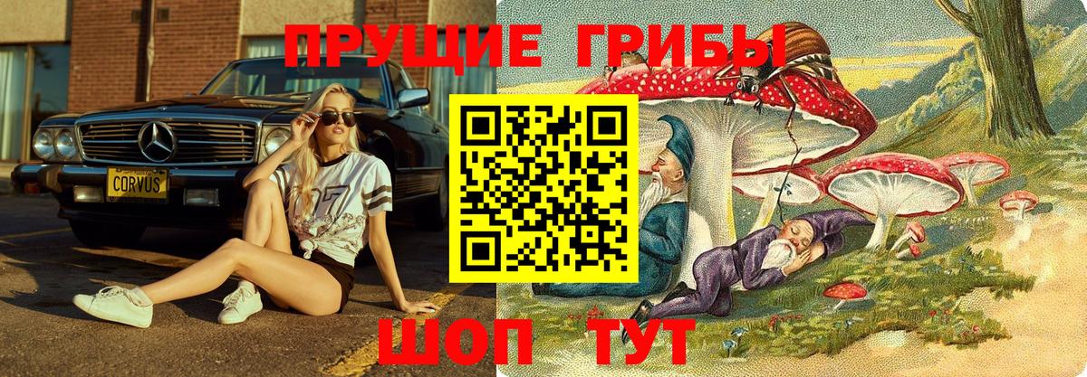 Псилоцибиновые грибы Magic Shrooms  Вход с VPN  даркнет сайт  Прохладный 