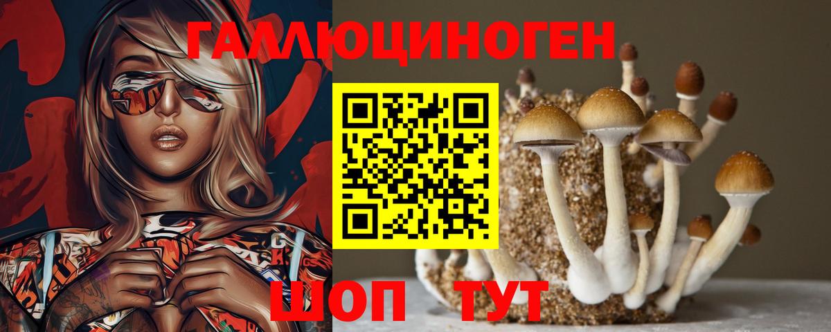 Псилоцибиновые грибы мухоморы Прохладный